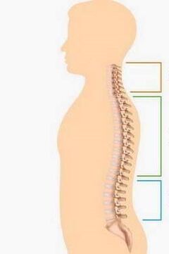 The lesion of osteocondrosis of different parts of the spine